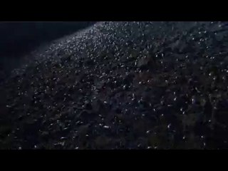 ㈙노원구오피방༱강동구오피방ຍ응암오피방ຟ