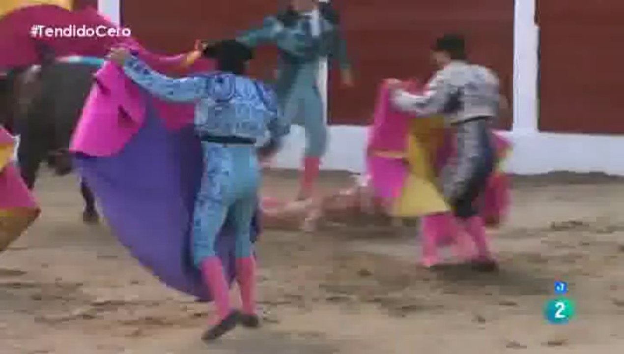Feria de Ceret 14