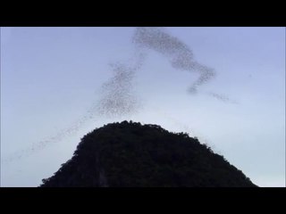 ㉴일산서구오피방௱양평오피방༸판교오피방༲