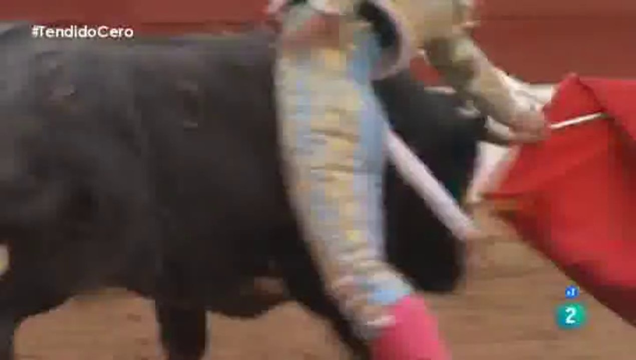 Feria de Mont de marsan 14