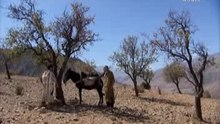 مسلسل زهر ومرشة _ الحلقة 11