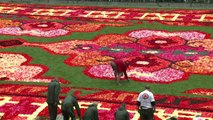Gigante tapiz de flores en Bruselas