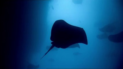 ㉵청주오피방༈강서오피방༚간석오피방༔