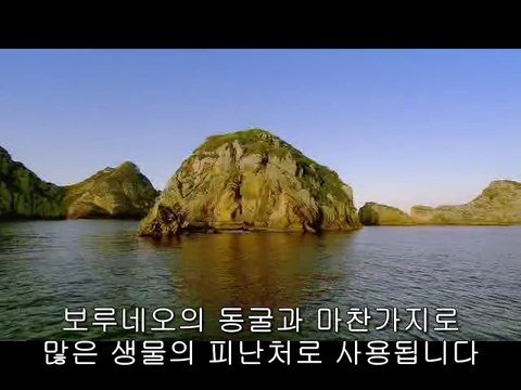 ㉯일산오피방ນ부산오피방༟분당오피방༙