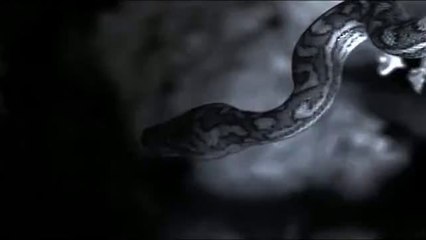 ㉮청주오피방௶강서오피방༽간석오피방༷